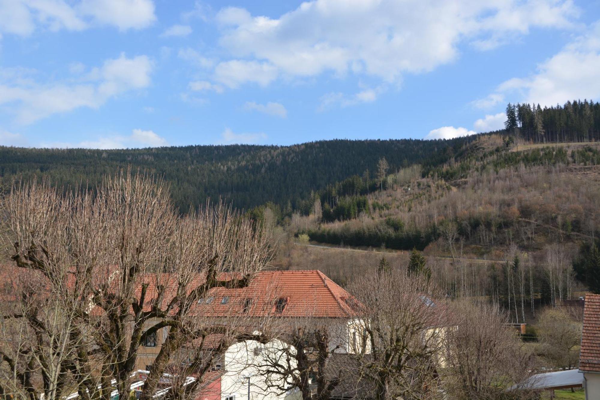 Kronenwirt Gurk Exteriör bild