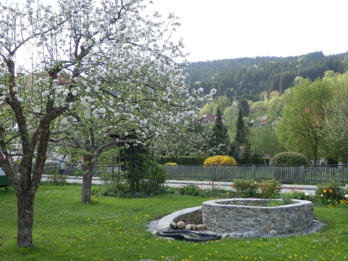 Kronenwirt Gurk Exteriör bild